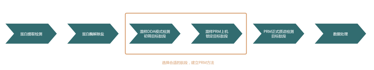PRM路线