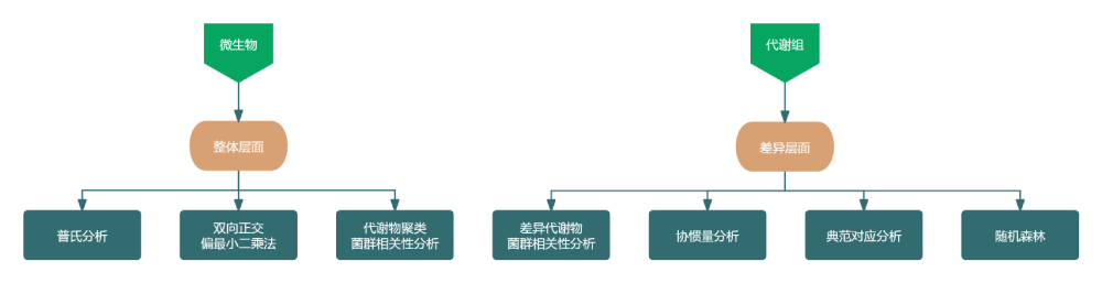 代谢组微生物组技术流程